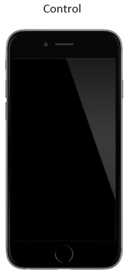 Blank iPhone screen